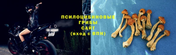 прущий лед Шадринск