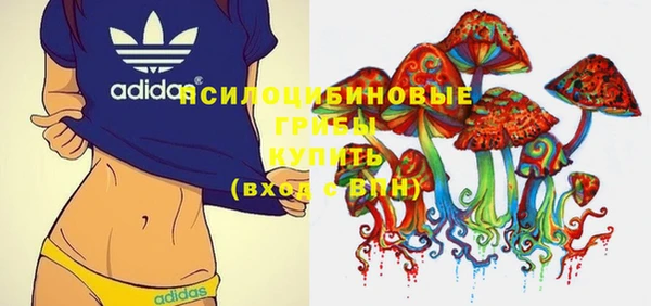спайс Шали