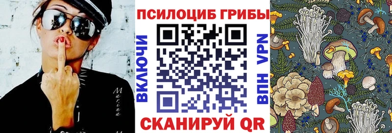 где найти наркотики дарк нет Telegram Галлюциногенные грибы мицелий Севастополь