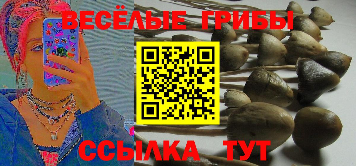 Галлюциногенные грибы ЛСД Севастополь